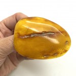 Unique and Exquisite Amber Brooch