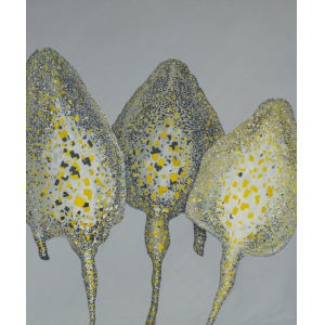 Marta Konieczny, Bio-mantas, 2013
