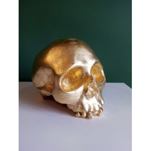 Agnieszka Rudnicka, Golden skull