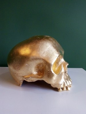 Agnieszka Rudnicka, Golden skull