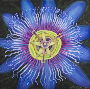 Hanna Rozpara, Passiflora, 2022