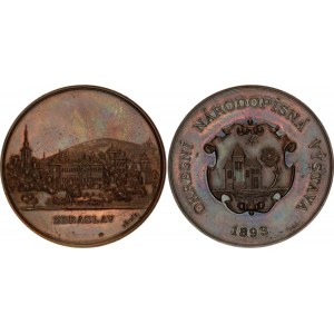 Austria Prague Bronze Medal Zbraslav 1893
