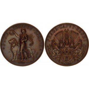 Austria Prague Bronze Medal - Town Honour Prize 19th - 20th Centuries