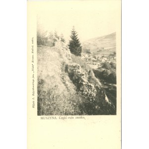 Muszyna - Część ruin zamku, ok. 1900