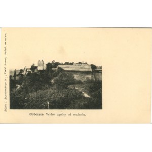Dobczyce - Widok ogólny od wschodu, ok. 1900