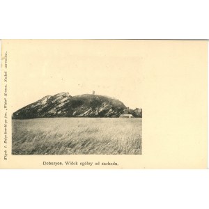 Dobczyce - Widok ogólny od zachodu, ok. 1900