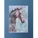 Alexander Franko, The Horse