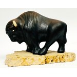 Figura bizona