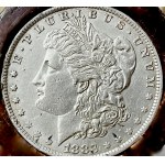 Historyczna laska wójta gminy wiejskiej z 1 dolarową monetą