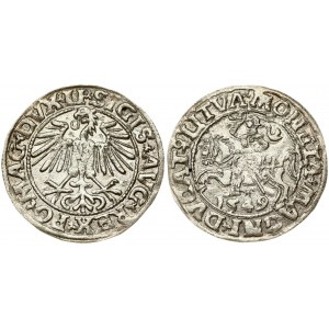 Lithuania 1/2 Grosz 1549 Vilnius. Sigismund II Augustus (1545-1572). Obverse Lettering: SIGIS AVG REX PO MAG DVX LI...
