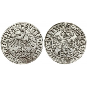 Lithuania 1/2 Grosz 1550 Vilnius. Sigismund II Augustus (1545-1572). Obverse Lettering: SIGIS AVG REX PO MAG DVX LI...