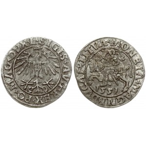 Lithuania 1/2 Grosz 1551 Vilnius. Sigismund II Augustus (1545-1572). Obverse Lettering: SIGIS AVG REX PO MAG DVX L...