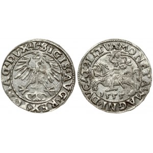 Lithuania 1/2 Grosz 1555 Vilnius. Sigismund II Augustus (1545-1572). Obverse Lettering: SIGIS AVG REX PO MAG DVX L...