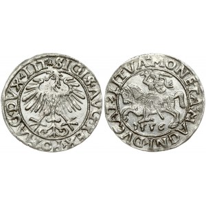 Lithuania 1/2 Grosz 1556 Vilnius. Sigismund II Augustus (1545-1572). Obverse Lettering: SIGIS AVG REX PO MAG DVX LIT...