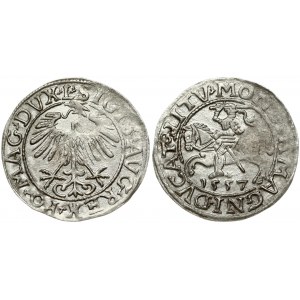 Lithuania 1/2 Grosz 1557 Vilnius. Sigismund II Augustus (1545-1572). Obverse Lettering: SIGIS AVG REX PO MAG DVX L...