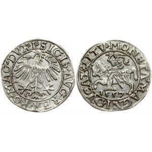 Lithuania 1/2 Grosz 1557 Vilnius. Sigismund II Augustus (1545-1572). Obverse Lettering: SIGIS AVG REX PO MAG DVX L...