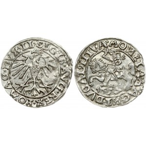 Lithuania 1/2 Grosz 1557 Vilnius. Sigismund II Augustus (1545-1572). Obverse Lettering: SIGIS AVG REX PO MAG DVX LI...