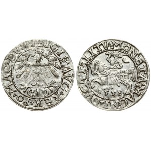 Lithuania 1/2 Grosz 1558 Vilnius. Sigismund II Augustus (1545-1572). Obverse Lettering: SIGIS AVG REX PO MAG DVX L...