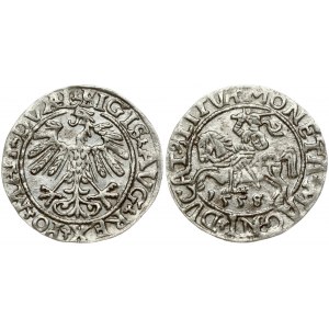 Lithuania 1/2 Grosz 1558/55 Vilnius. Sigismund II Augustus (1545-1572). Obverse Lettering: SIGIS AVG REX PO MAG DVX L...