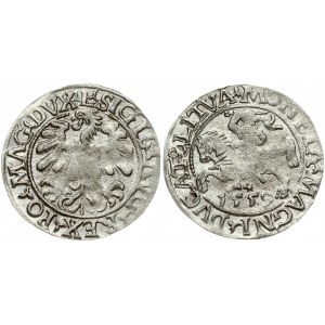 Lithuania 1/2 Grosz 1559 Vilnius. Sigismund II Augustus (1545-1572). Obverse Lettering: SIGIS AVG REX PO MAG DVX L...