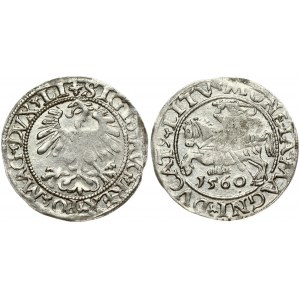 Lithuania 1/2 Grosz 1560 Vilnius. Sigismund II Augustus (1545-1572). Obverse Lettering: SIGIS AVG REX PO MAG DVX LI...