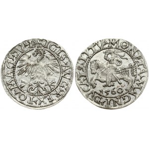 Lithuania 1/2 Grosz 1560 Vilnius. Sigismund II Augustus (1545-1572). Obverse Lettering: SIGIS AVG REX PO MAG DV L...