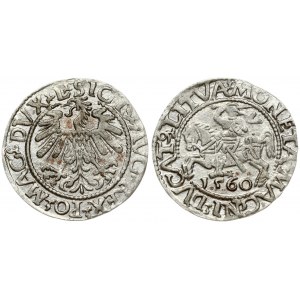 Lithuania 1/2 Grosz 1560 Vilnius. Sigismund II Augustus (1545-1572). Obverse Lettering: SIGIS AVG REX PO MAG DVX L...