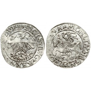 Lithuania 1/2 Grosz 1560 Vilnius. Sigismund II Augustus (1545-1572). Obverse Lettering: SIGIS AVG REX PO MAG DVX L...