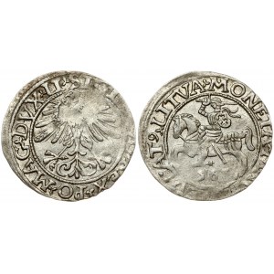 Lithuania 1/2 Grosz 1561 Vilnius. Sigismund II Augustus (1545-1572). Obverse Lettering: SIGIS AVG REX PO MAG DVX LI...