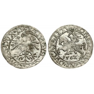 Lithuania 1/2 Grosz 1562 Vilnius. Sigismund II Augustus (1545-1572). Obverse Lettering: SIGIS AVG REX PO MAG DVX LI...