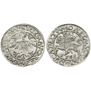 Lithuania 1/2 Grosz 1563 Vilnius. Sigismund II Augustus (1545-1572). Obverse Lettering: SIGIS AVG REX PO MAG DVX L...