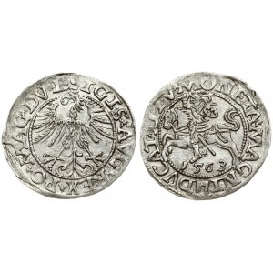 Lithuania 1/2 Grosz 1563 Vilnius. Sigismund II Augustus (1545-1572). Obverse Lettering: SIGIS AVG REX PO MAG DV L...