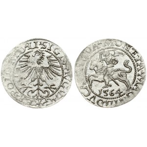 Lithuania 1/2 Grosz 1564 Vilnius. Sigismund II Augustus (1545-1572). Obverse Lettering: SIGIS AVG REX PO MAG DVX LI...