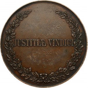 Poland Medal Professor V D Spasovich 1891. VLADIMIRUS SPASOVICZ MDCCCXCI. Description of obverse: Bust portrait of V.D...