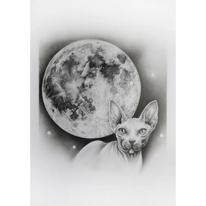 Katarzyna Plewa (ur. 1984), Catmoon, 2021