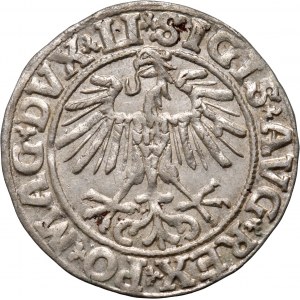 Zygmunt II August, półgrosz 1551, Wilno, odmiana LI/LITVA