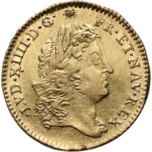 Frankreich, Ludwig XIV, Ludwig d'or 1692, Lille