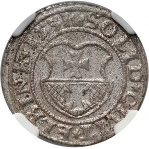 Zygmunt I the Old, shill 1531, Elbląg