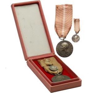 People's Republic of Poland, Medal For Your Freedom and Ours with thumbnail