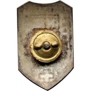 II RP, Commemorative badge of the Air and Gas Defense League, Training Camp Niepołomice 1933