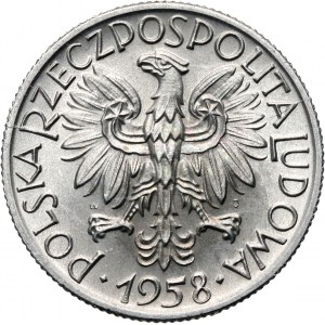 PRL, 5 złotych 1958, Rybak, wąska cyfra 8 - bez sznura i z chudym ramieniem