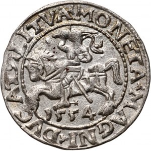Zygmunt II August, półgrosz 1554, Wilno, bardzo rzadki rocznik