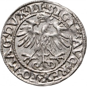 Sigismund II Augustus, half-penny 1554, Vilnius, very rare vintage