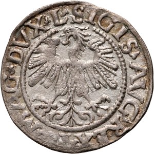 Sigismund II Augustus, half-penny 1559, Vilnius