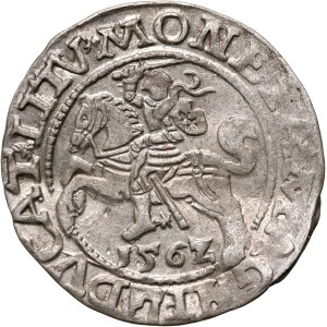 Sigismund II Augustus, half-penny 1562, Vilnius, variety with the Axe coat of arms on the reverse side