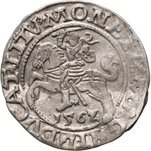 Zygmunt II August, półgrosz 1562, Wilno, odmiana z herbem Topór na rewersie