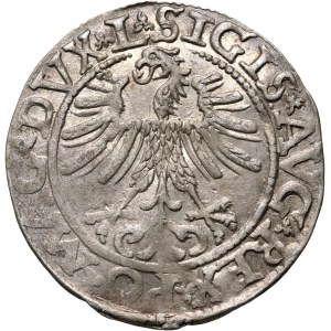 Sigismund II Augustus, half-penny 1562, Vilnius, variety with the Axe coat of arms on the reverse side