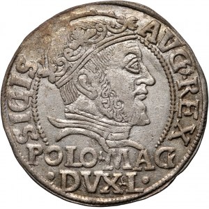 Sigismund II Augustus, Lithuanian penny per Polish foot 1547, Vilnius