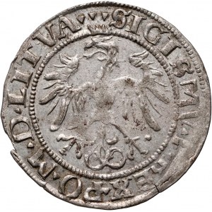 Zygmunt I Stary, grosz litewski 1536 F, Wilno, litera F pod Pogonią