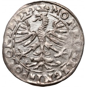 Sigismund I the Old, penny 1545, Cracow, legend in 3 lines